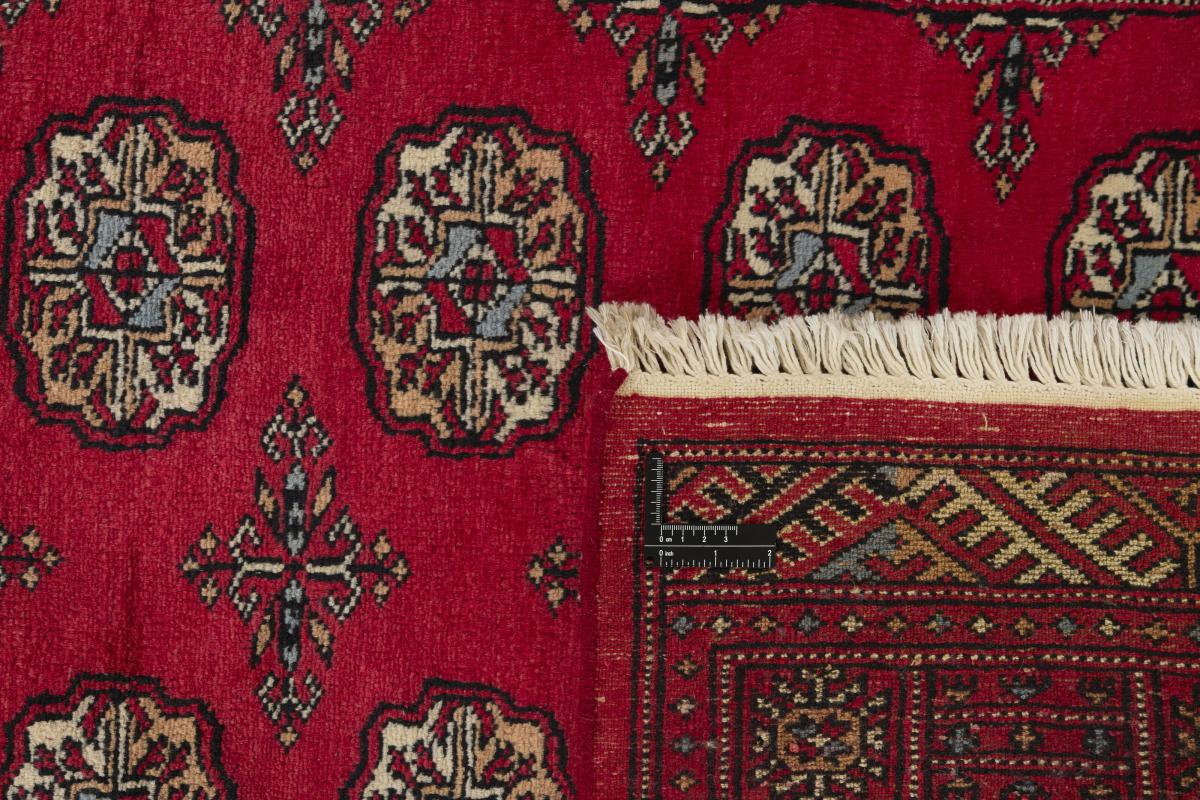 Pakistan Buchara 3ply - 1