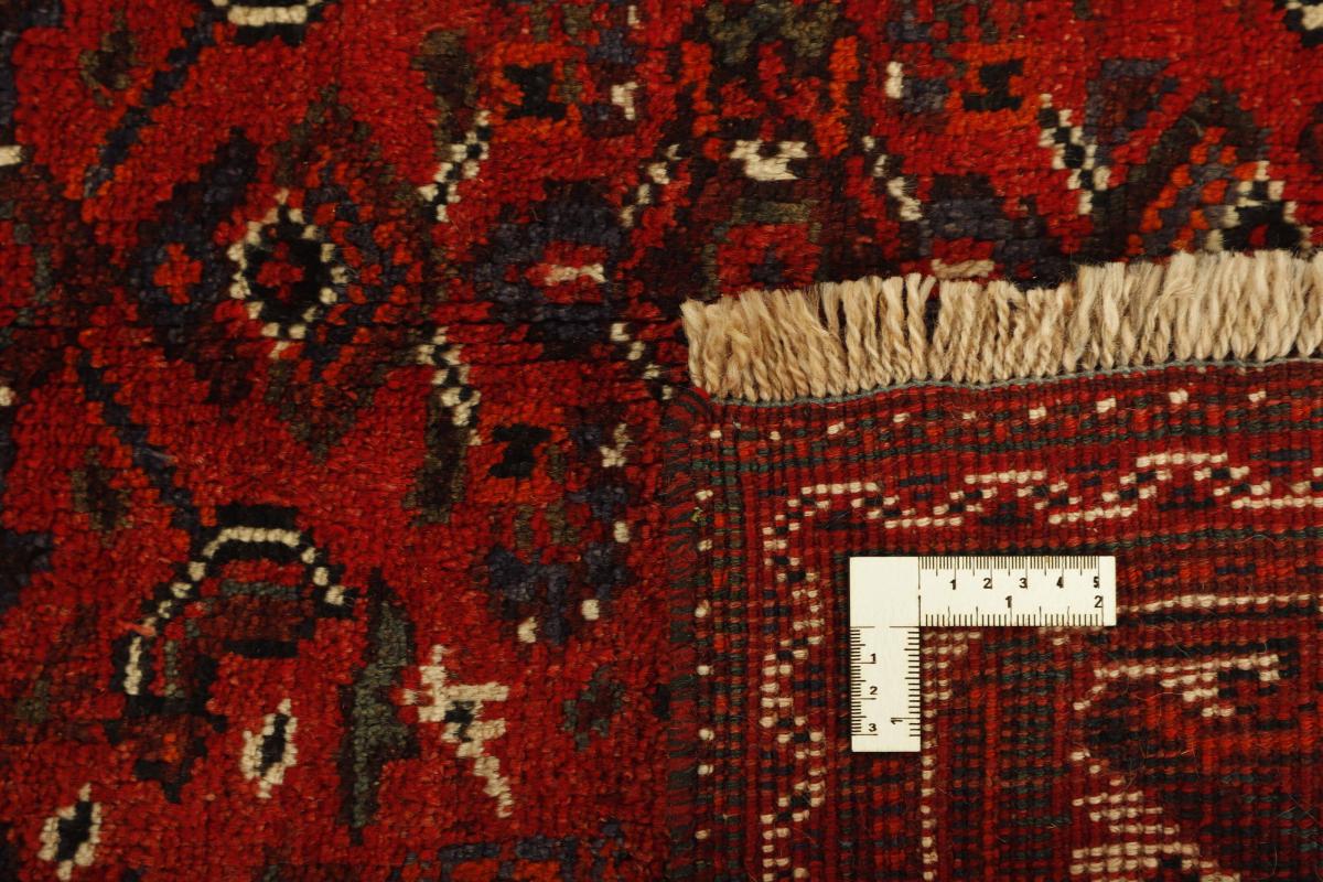 Shiraz - 1