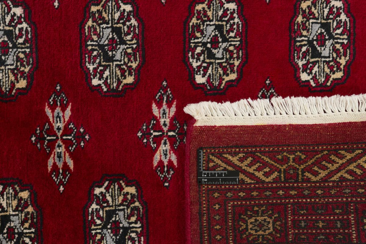 Pakistan Buchara 3ply - 1