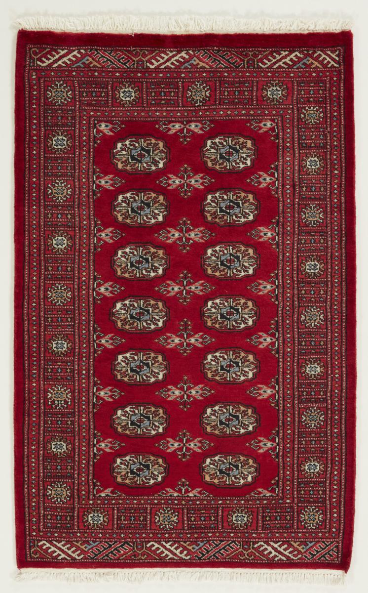 Pakistani rug Pakistan Buchara 3ply 150x95 150x95, Persian Rug Knotted by hand