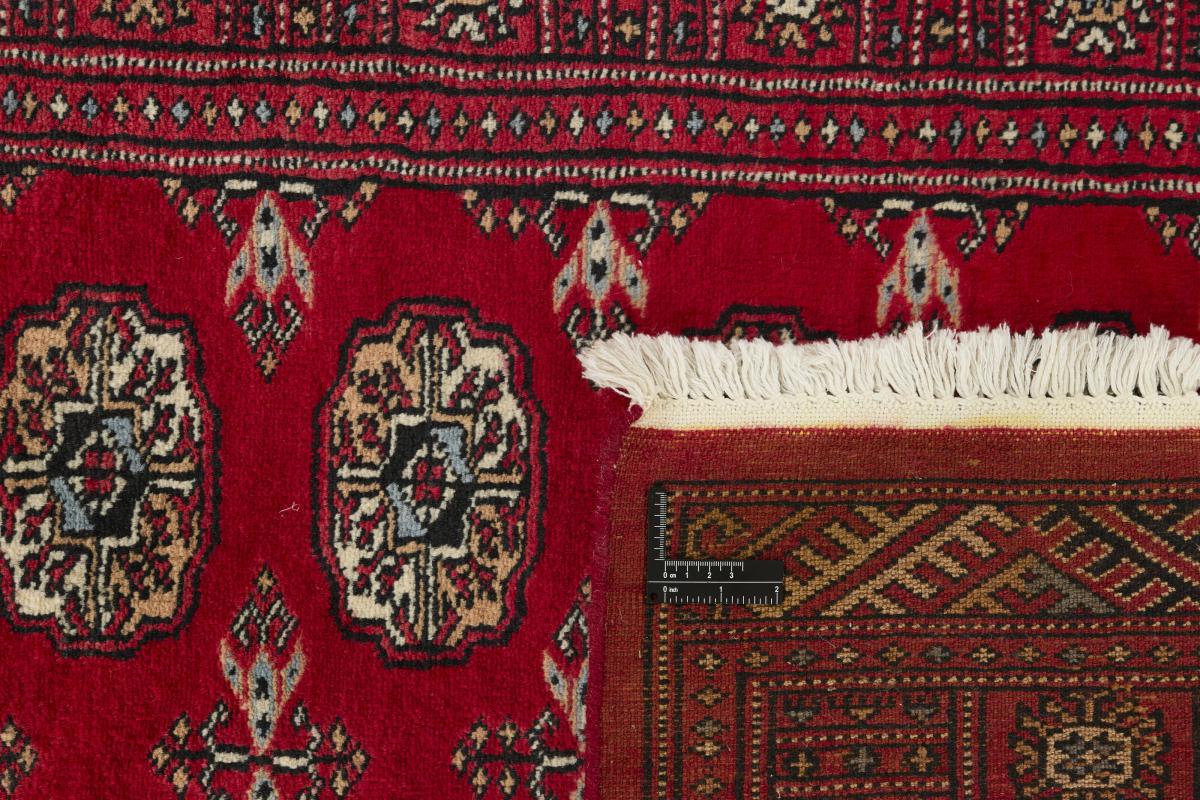 Pakistan Buchara 3ply - 1