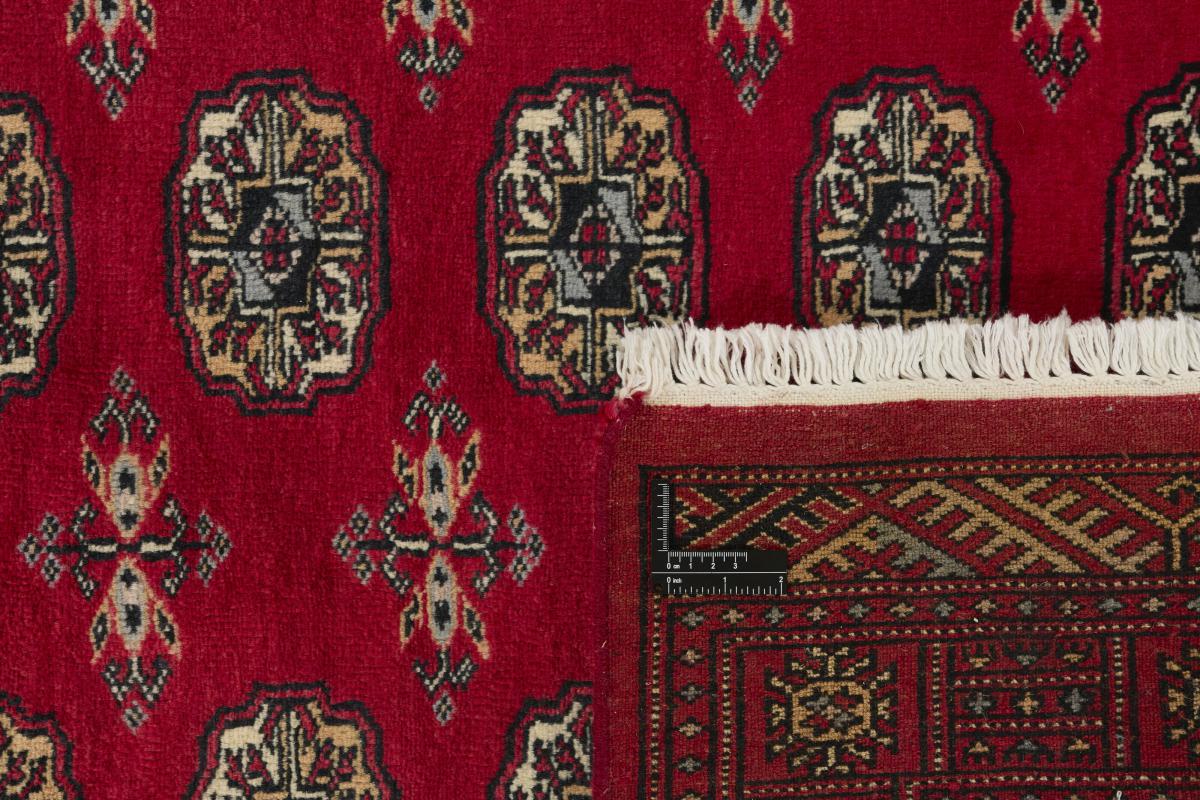 Pakistan Buchara 3ply - 1