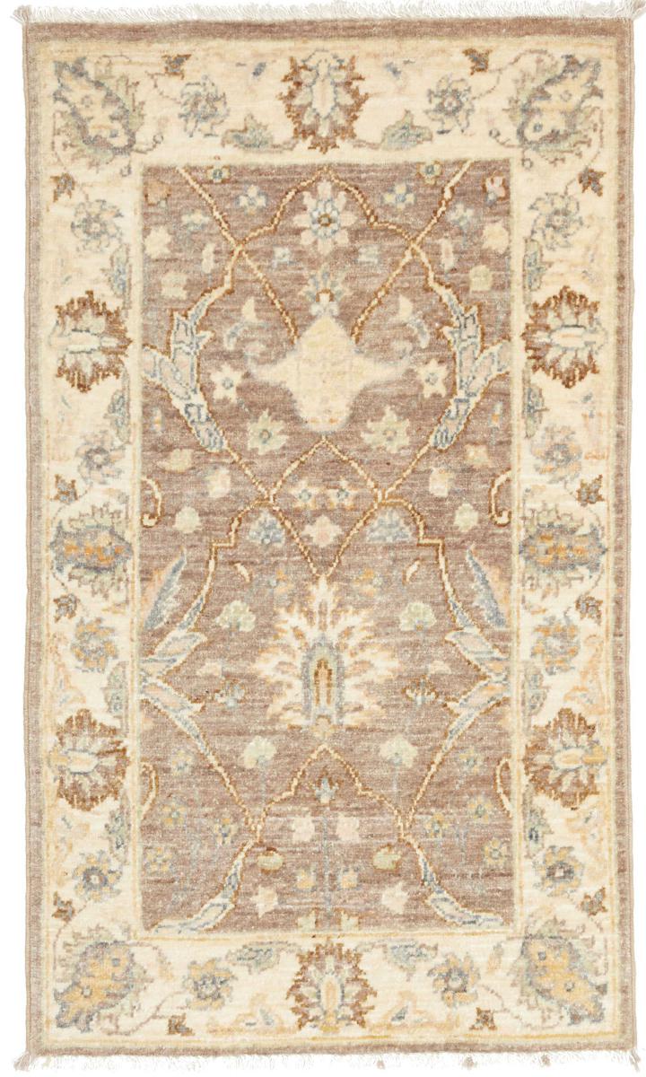 Ziegler Farahan - 1