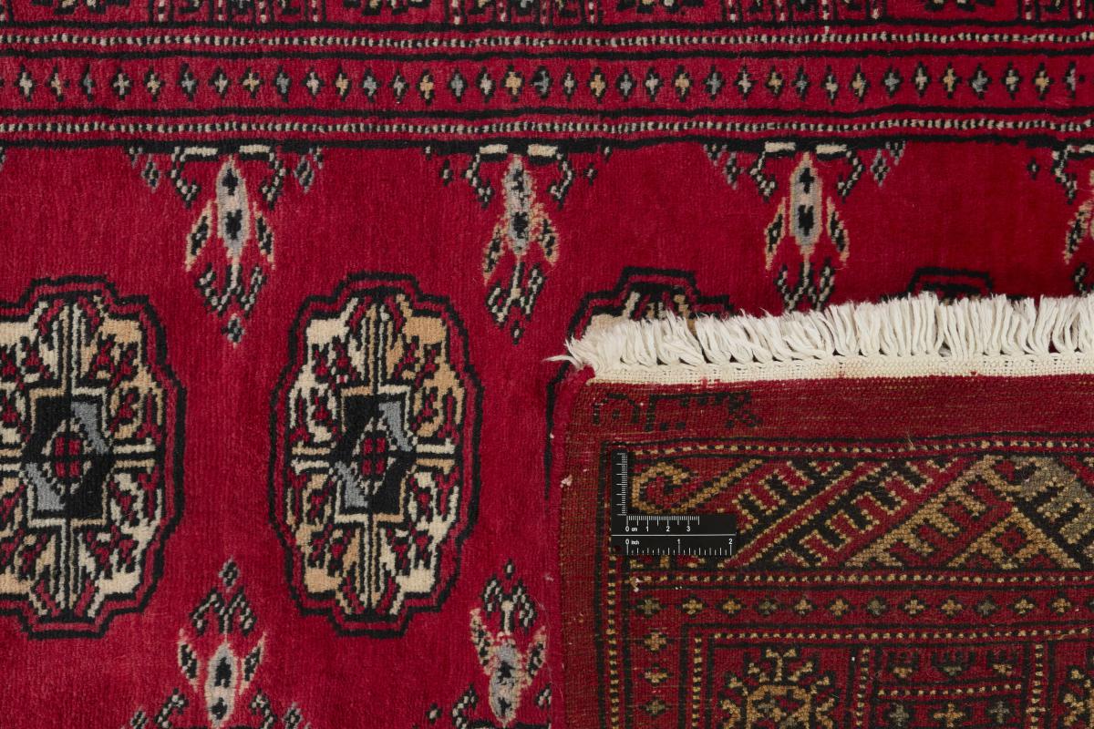 Pakistan Buchara 3ply - 1