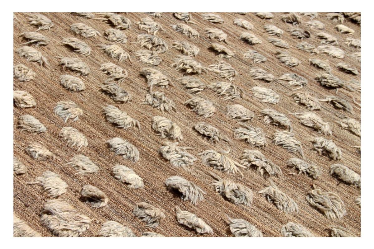 Kilim Afghan Berber Edition - 1