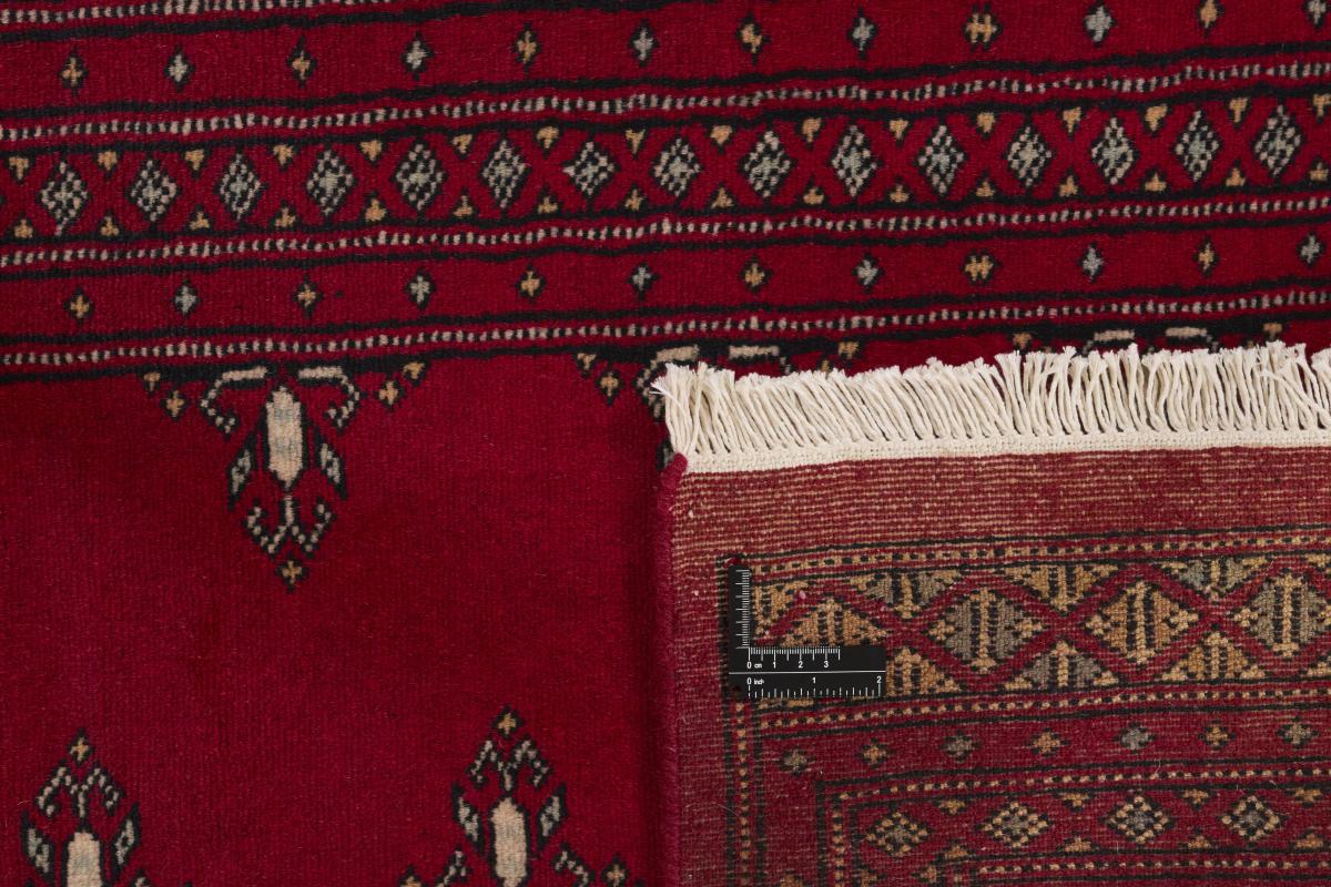 Pakistan Buchara 2ply - 1