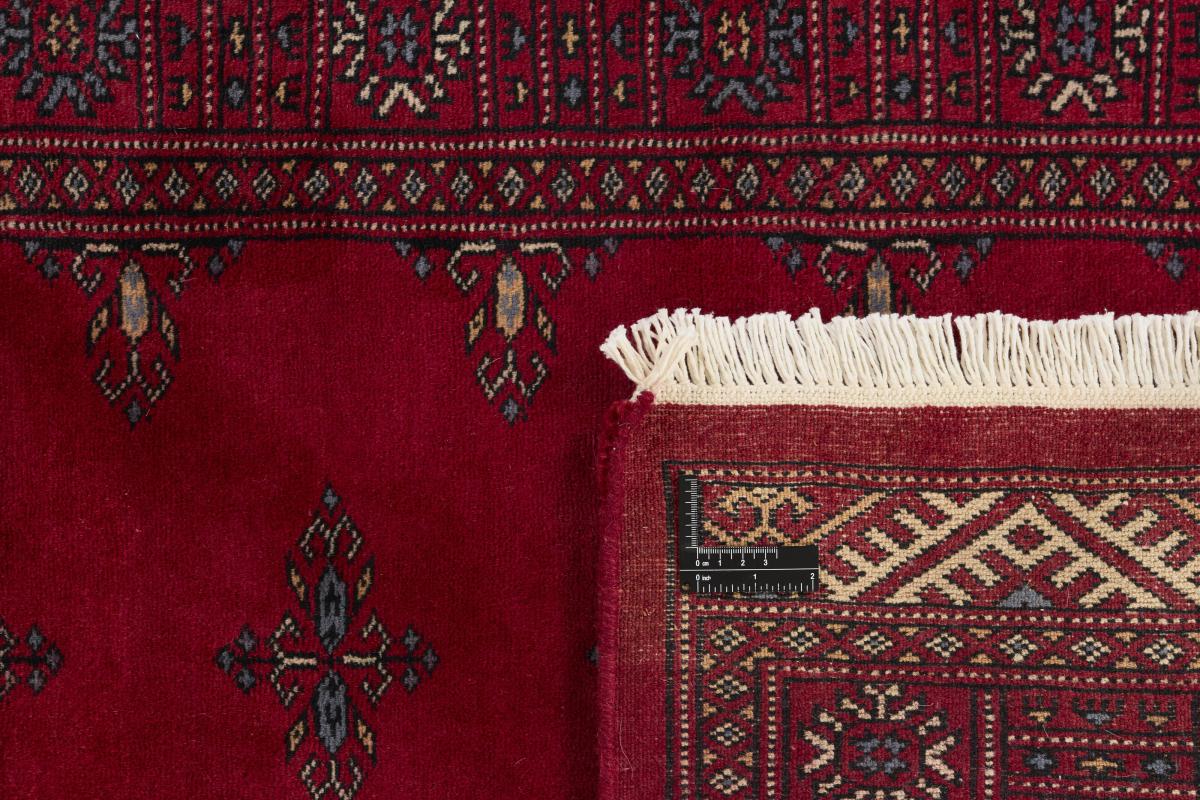 Pakistan Buchara 3ply - 1