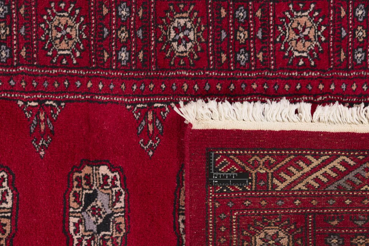 Pakistan Buchara 3ply - 1