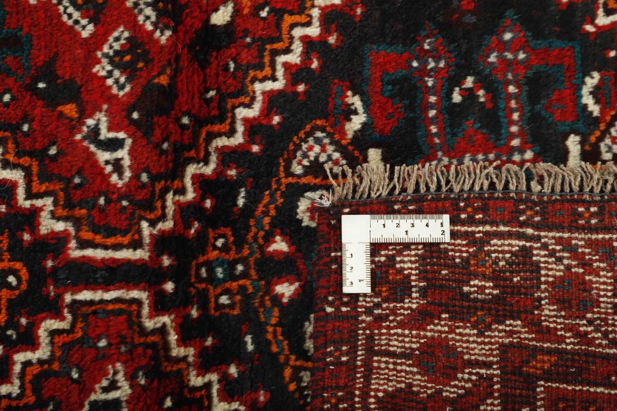 Shiraz - 1