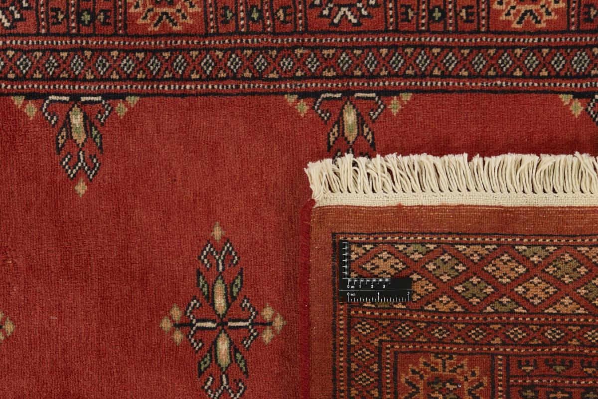 Pakistan Buchara 2ply - 1