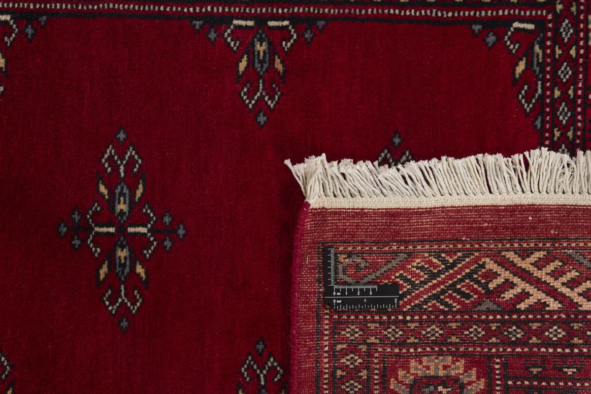 Pakistan Buchara 2ply - 1