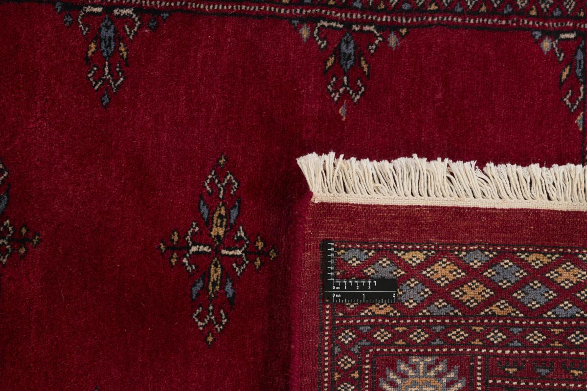 Pakistan Buchara 3ply - 1