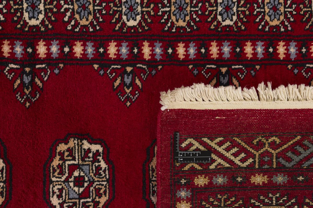 Pakistan Buchara 3ply - 1