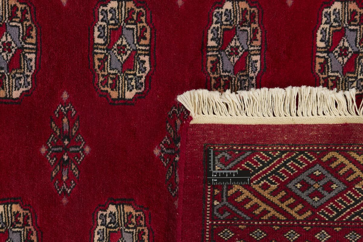 Pakistan Buchara 3ply - 1