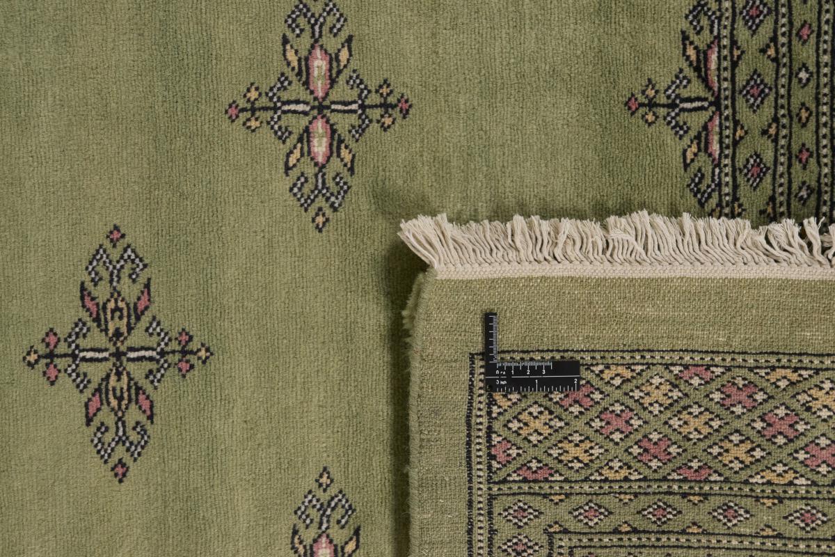 Pakistan Buchara 2ply - 1