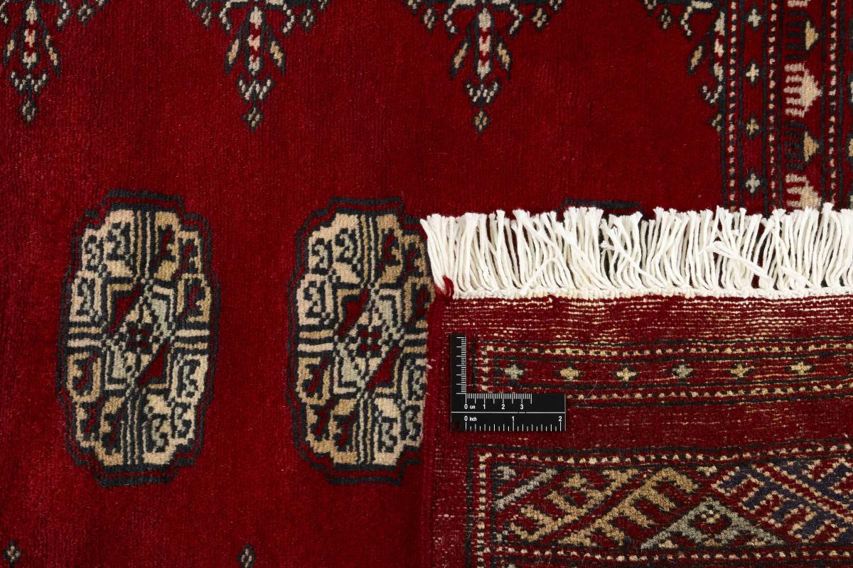 Pakistan Buchara 2ply - 1