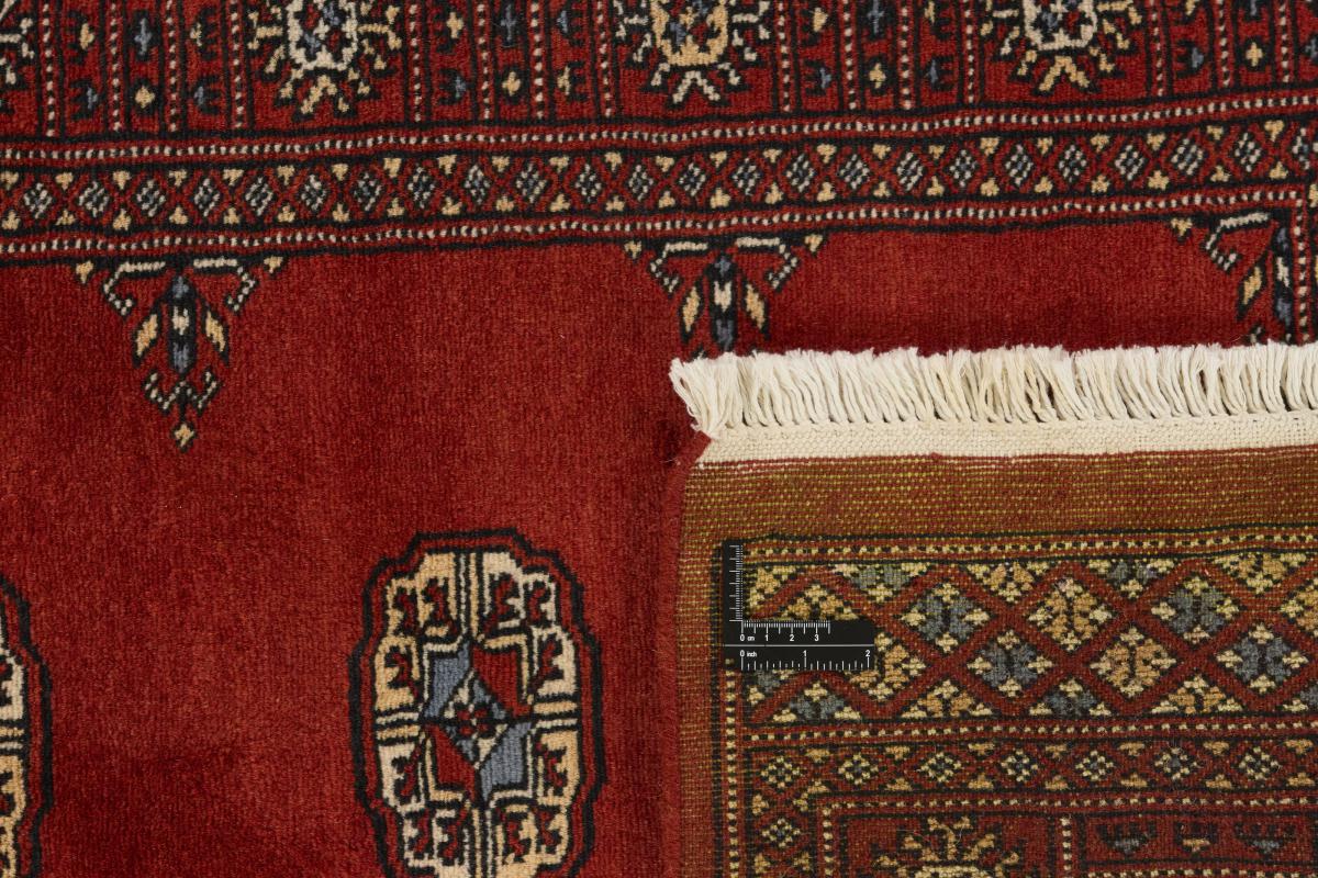 Pakistan Buchara 2ply - 1