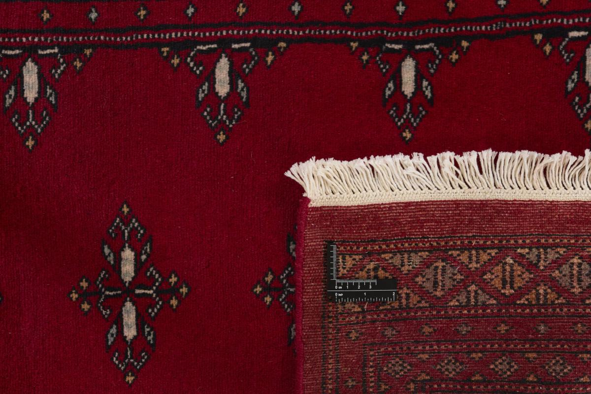 Pakistan Buchara 2ply - 1