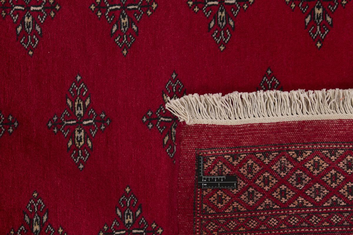 Pakistan Buchara 2ply - 1
