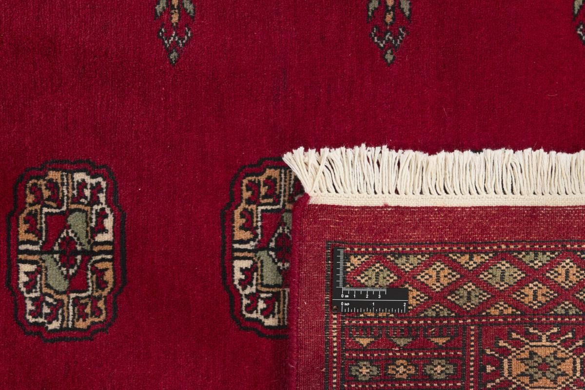 Pakistan Buchara 3ply - 1