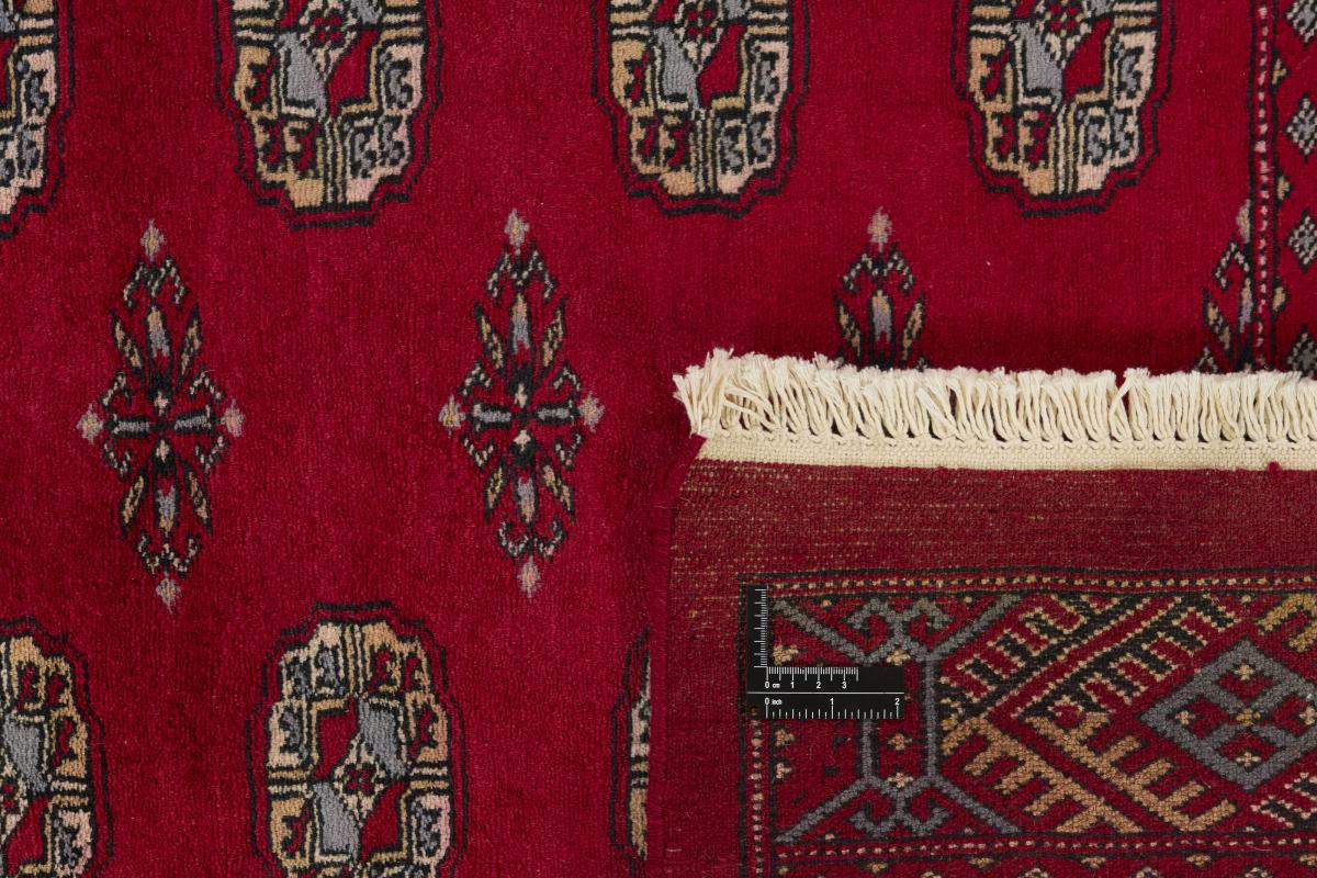 Pakistan Buchara 3ply - 1