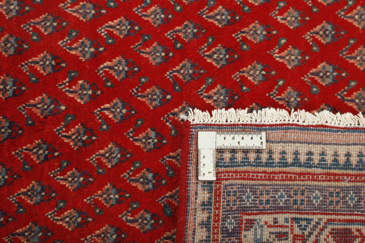 Sarough Mir Boteh - 1