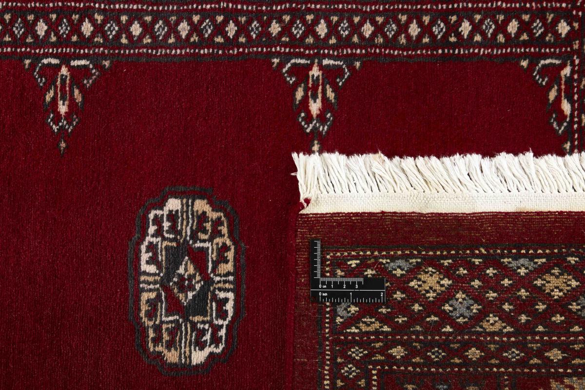Pakistan Buchara 2ply - 1