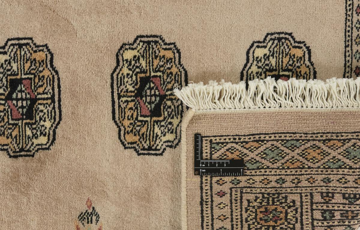 Pakistan Buchara 3ply - 1