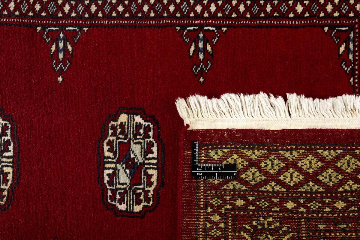 Pakistan Buchara 2ply - 1