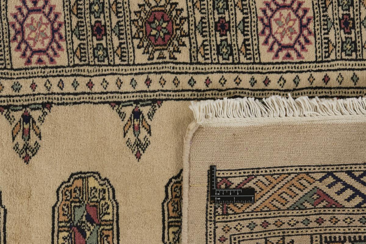 Pakistan Buchara 3ply - 1