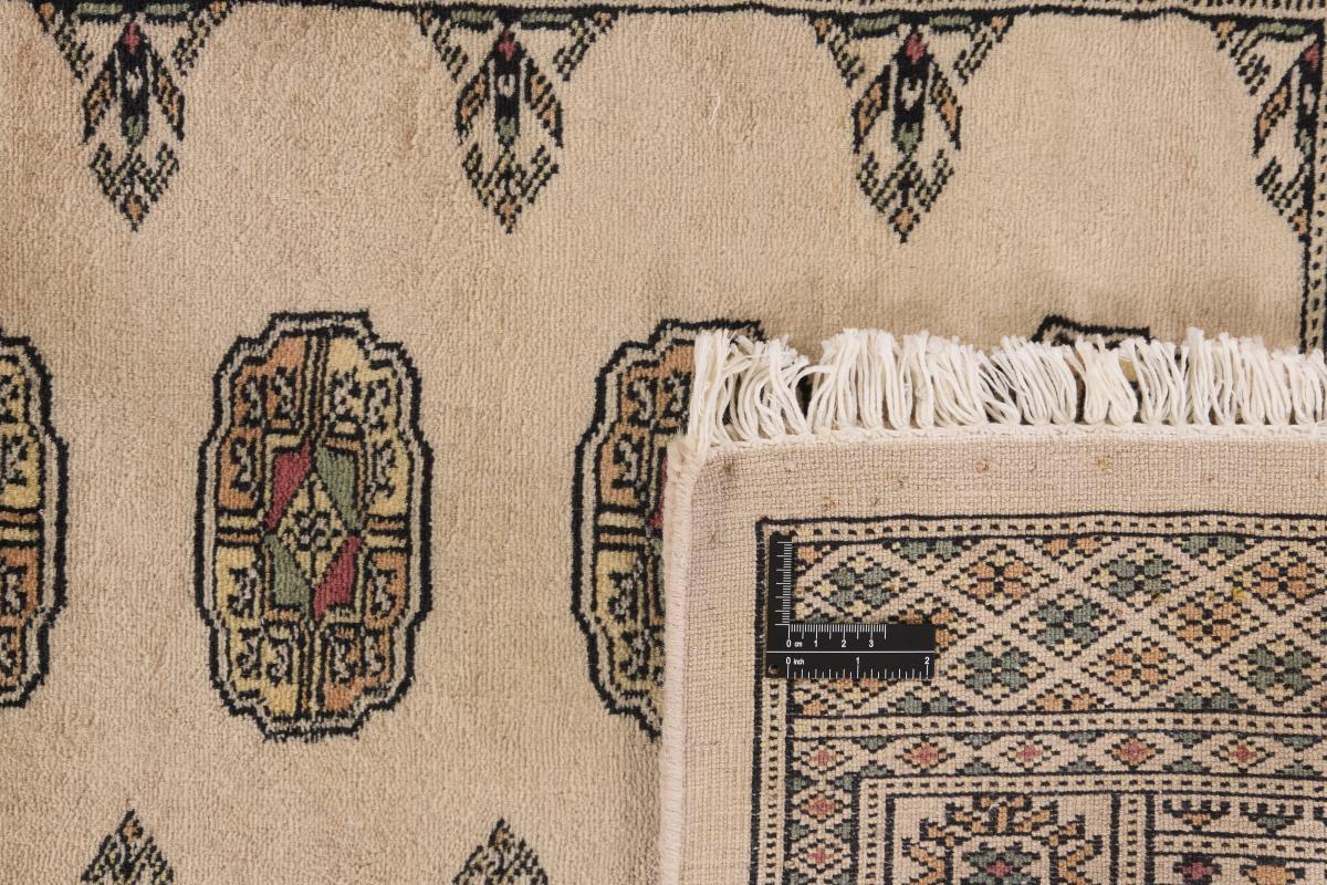 Pakistan Buchara 3ply - 1