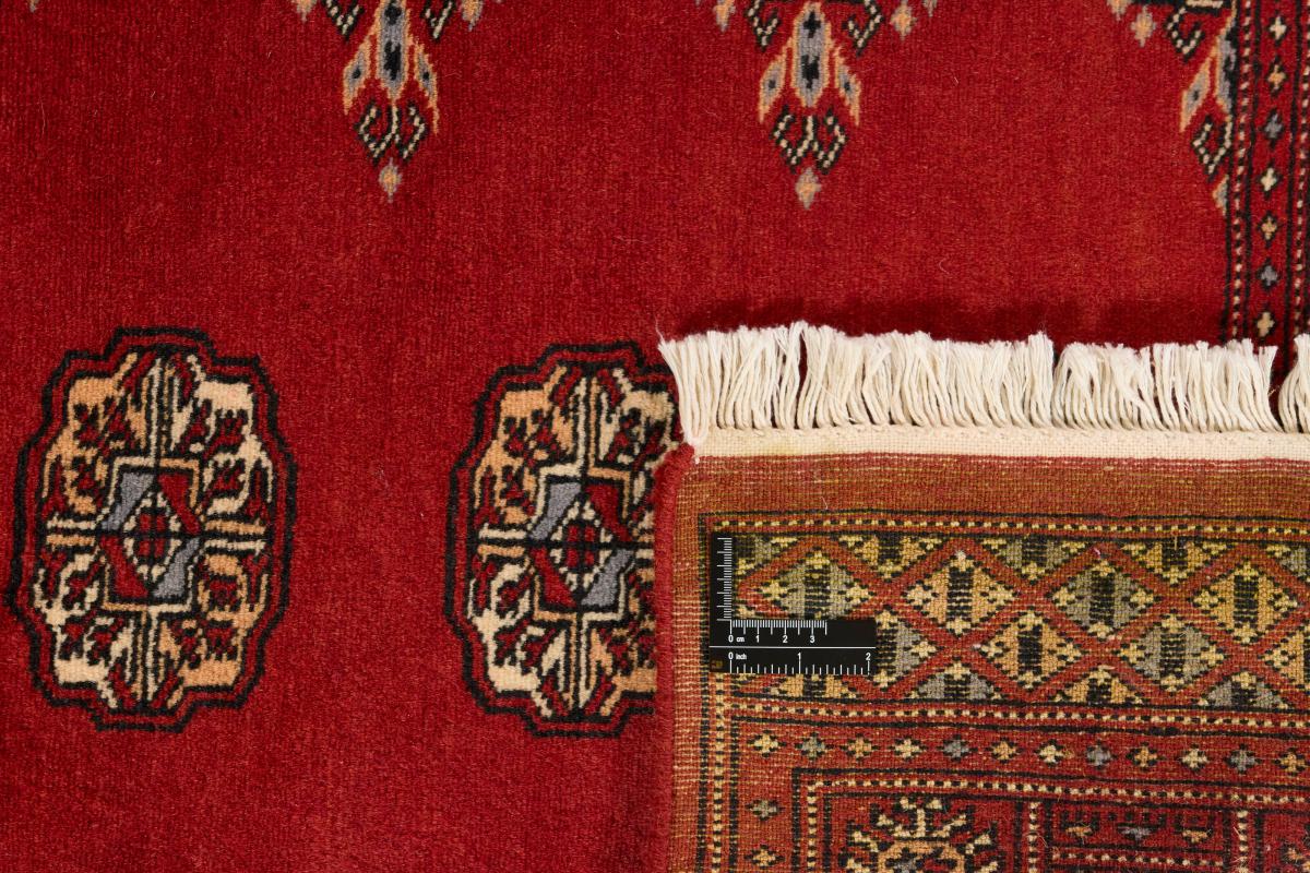 Pakistan Buchara 2ply - 1