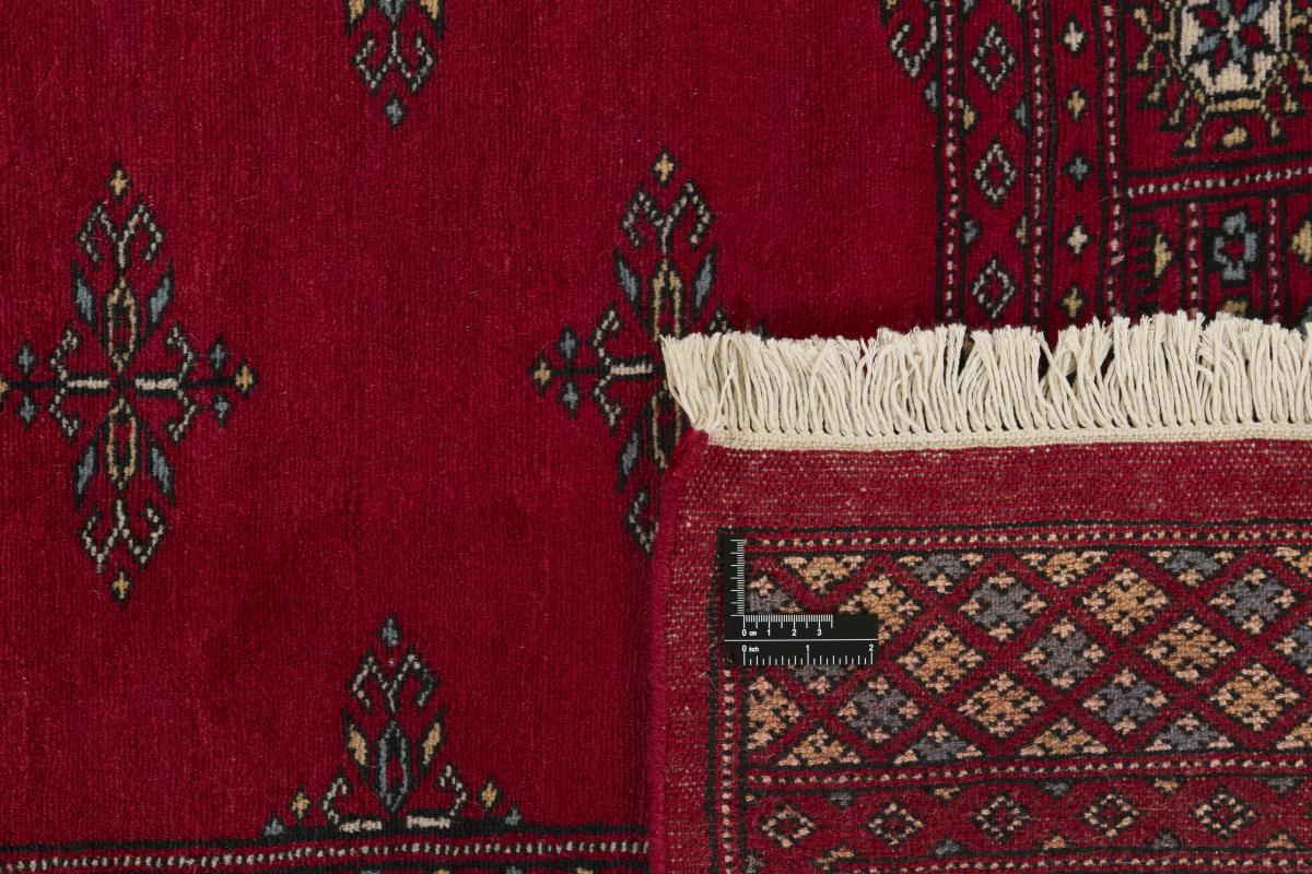 Pakistan Buchara 2ply - 1