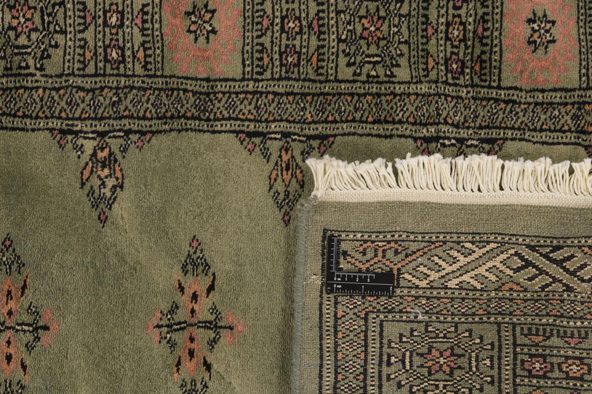 Pakistan Buchara 3ply - 1