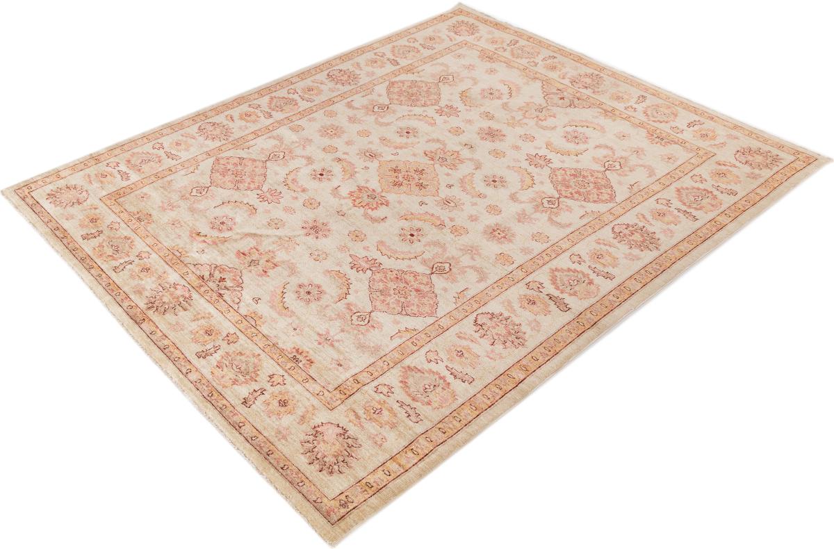 Ziegler Farahan - 1