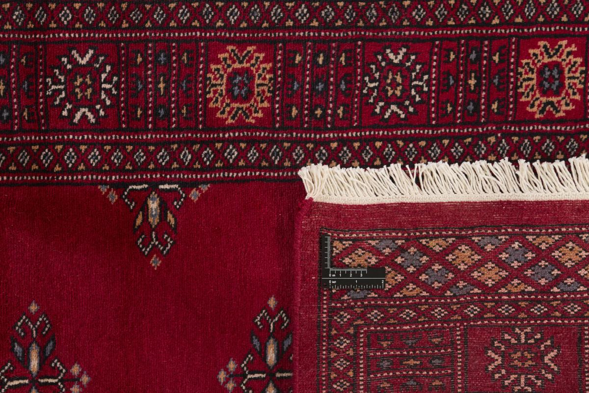 Pakistan Buchara 2ply - 1