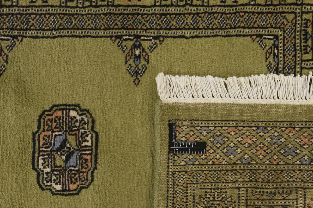 Pakistan Buchara 2ply - 1