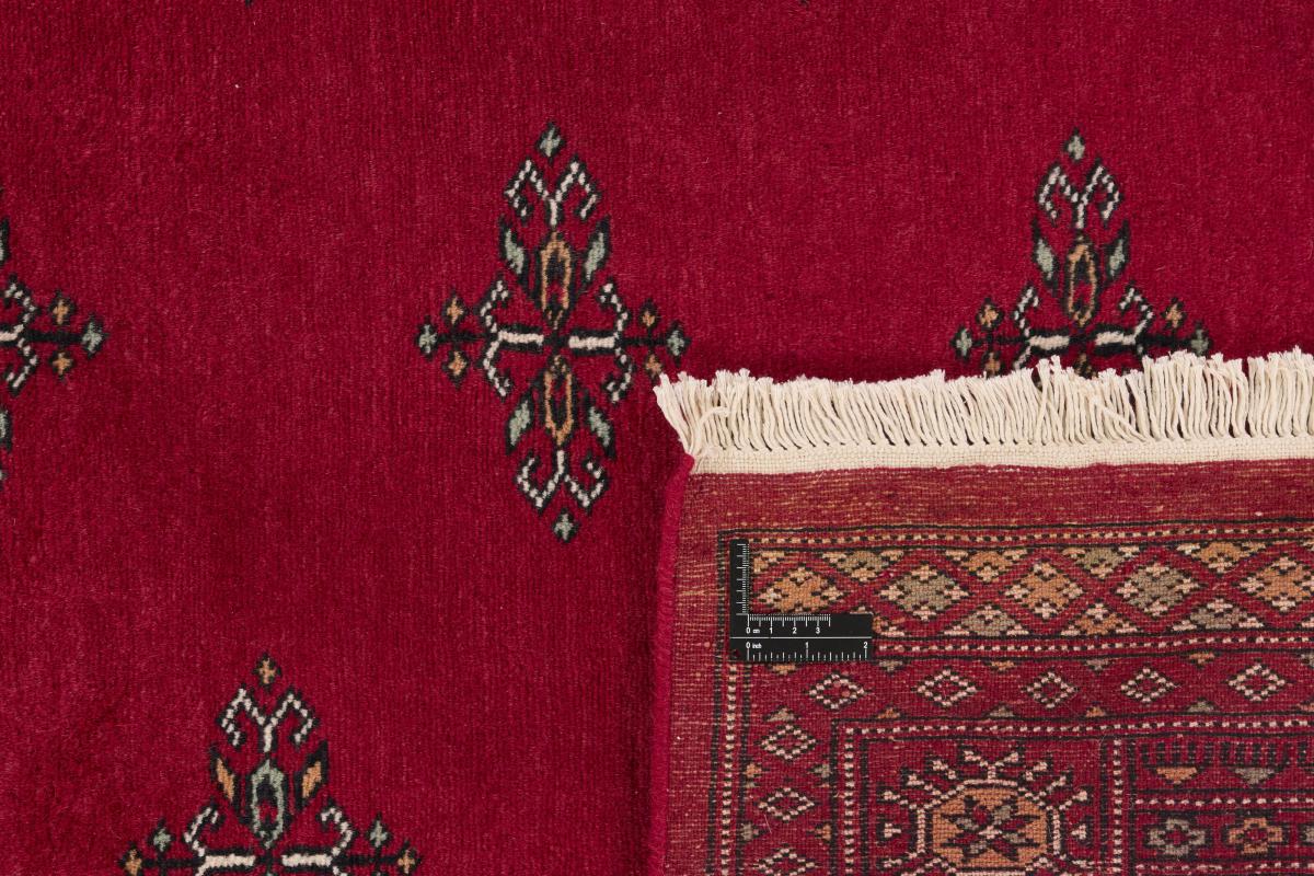 Pakistan Buchara 2ply - 1