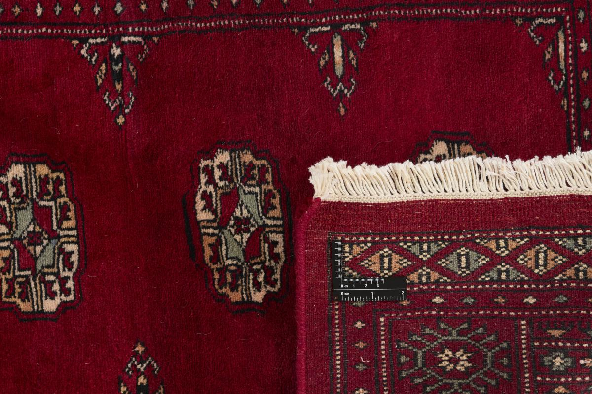 Pakistan Buchara 3ply - 1