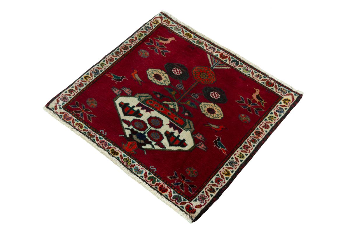 Shiraz - 1