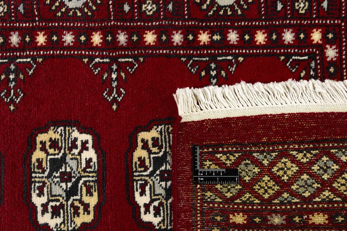 Pakistan Buchara 2ply - 1
