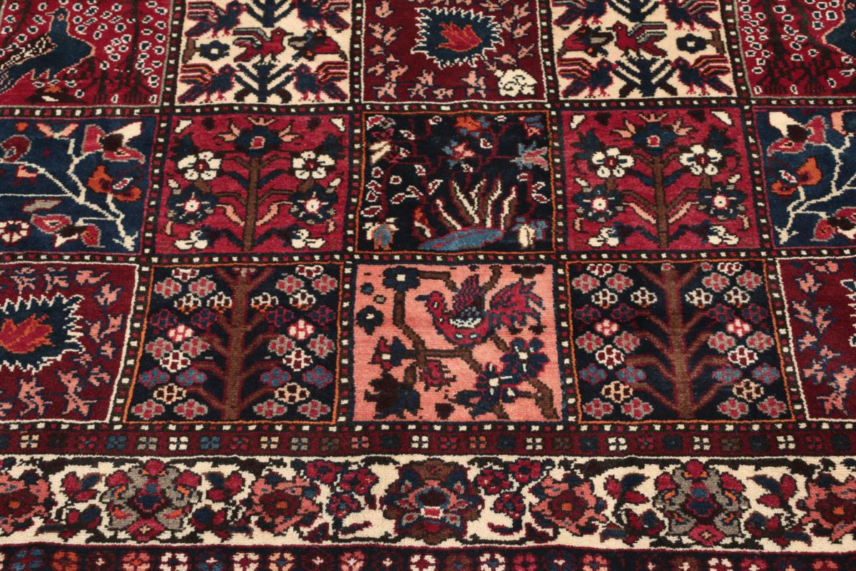 Μπαφτιάρ - 1