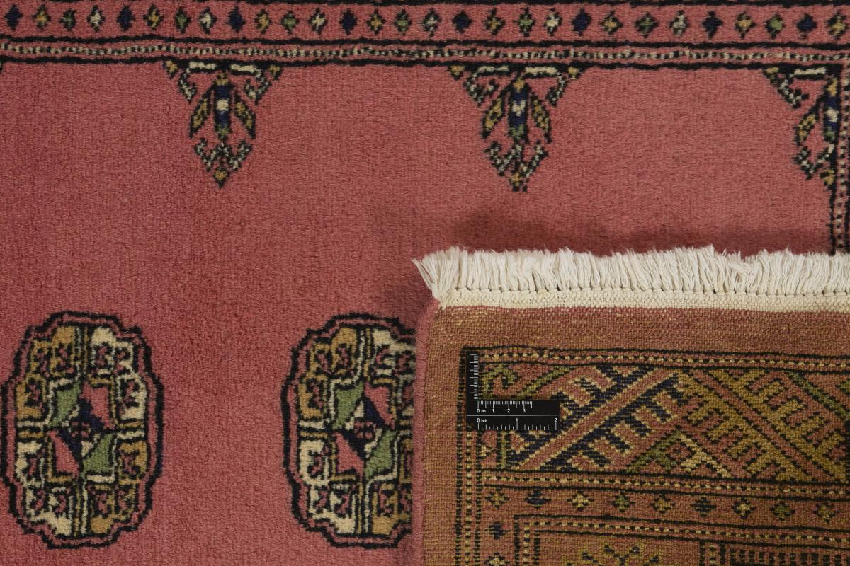 Pakistan Buchara 2ply - 1