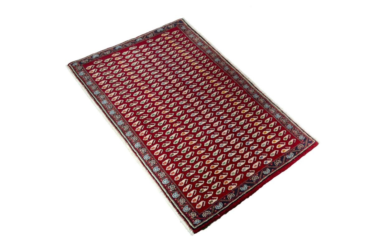 Shiraz - 1