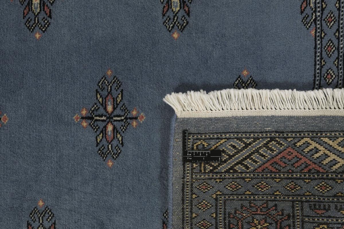 Pakistan Buchara 2ply - 1