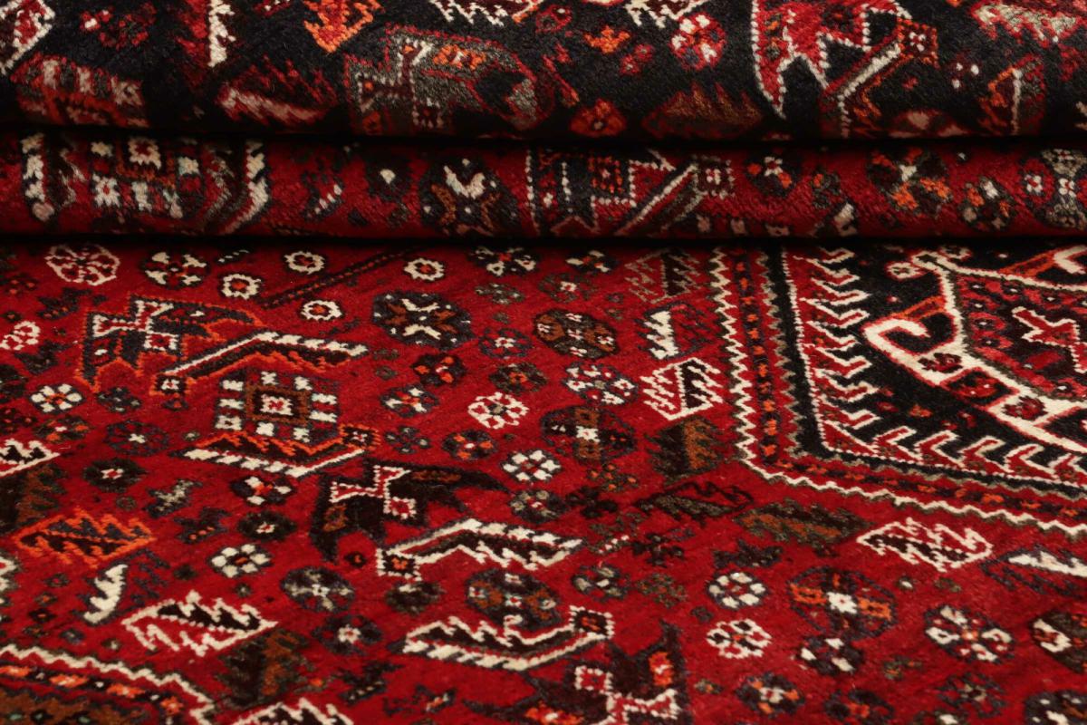 Shiraz - 1