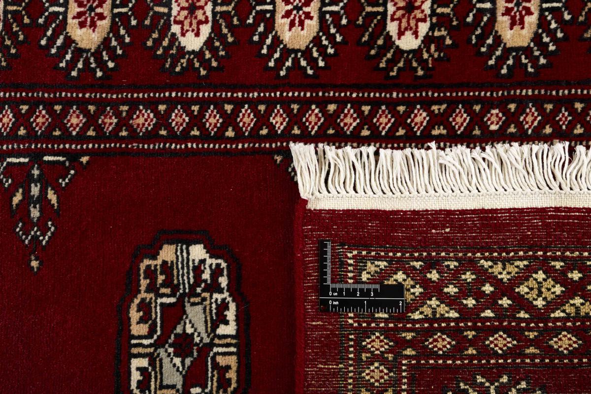 Pakistan Buchara 2ply - 1