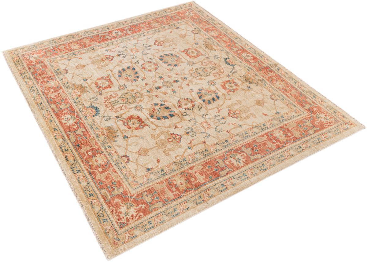 Ziegler Farahan - 1