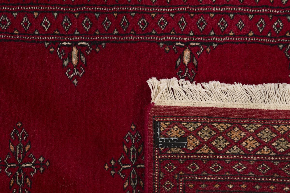 Pakistan Buchara 2ply - 1