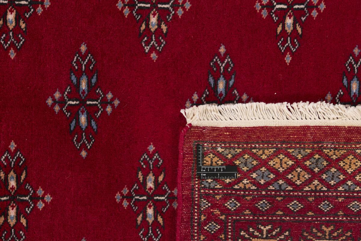 Pakistan Buchara 2ply - 1